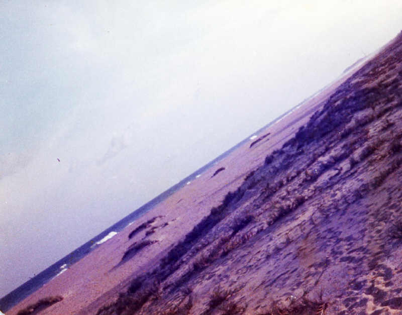 beach